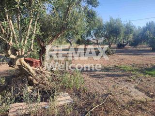Αγροτεμάχια 7.200 τ.μ. προς πώληση, Ν. Πρέβεζας, Πρέβεζα-thumb-17