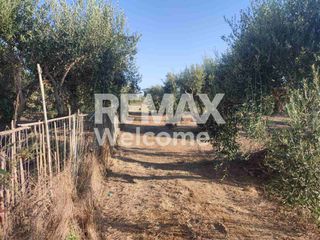 Αγροτεμάχια 7.200 τ.μ. προς πώληση, Ν. Πρέβεζας, Πρέβεζα-thumb-22