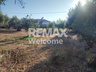 Αγροτεμάχια 7.200 τ.μ. προς πώληση, Ν. Πρέβεζας, Πρέβεζα-thumb-18