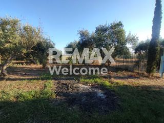 Αγροτεμάχια 7.200 τ.μ. προς πώληση, Ν. Πρέβεζας, Πρέβεζα-thumb-2