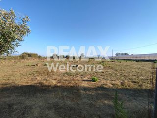 Αγροτεμάχια 7.200 τ.μ. προς πώληση, Ν. Πρέβεζας, Πρέβεζα-thumb-13
