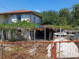 Μονοκατοικία 110 τ.μ. για πώληση