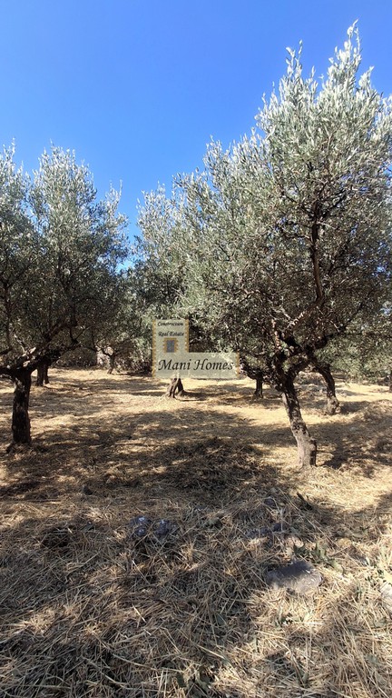 Οικόπεδο 2.290,77 τ.μ. πρός πώληση, Μεσσηνία, Λεύκτρος