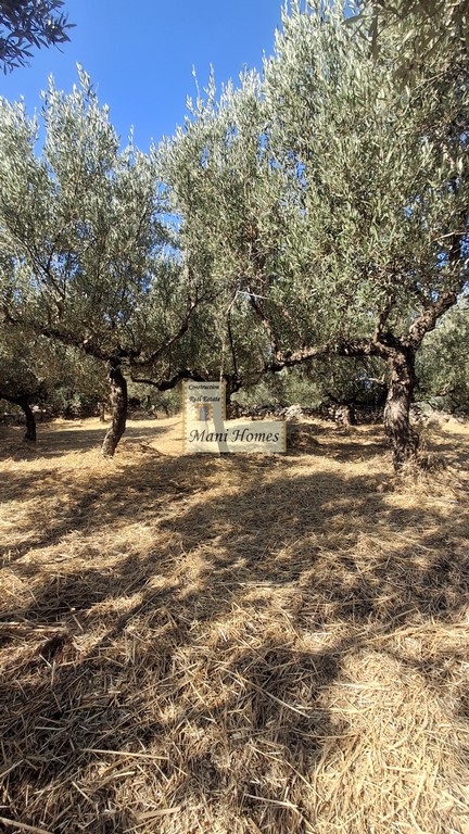 Οικόπεδο 2.290,77 τ.μ. πρός πώληση, Μεσσηνία, Λεύκτρος