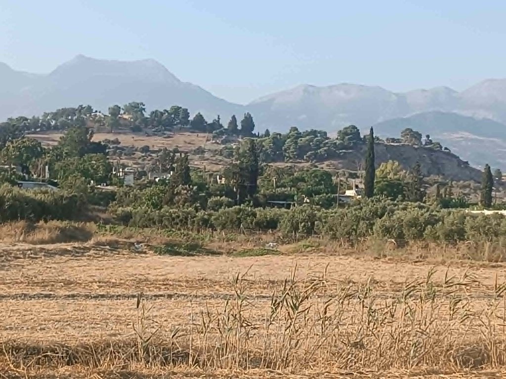 Αγροτεμάχια 809 τ.μ. προς πώληση, Άγιος Ιωάννης Τυμπακίου