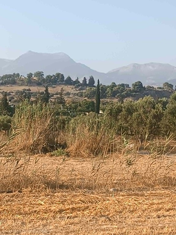 Αγροτεμάχια 809 τ.μ. προς πώληση, Άγιος Ιωάννης Τυμπακίου