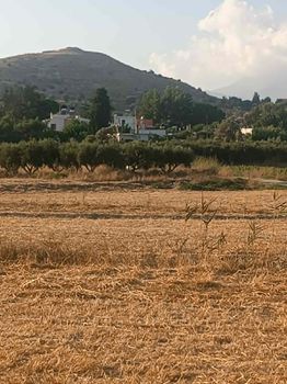 Αγροτεμάχια 809 τ.μ. προς πώληση