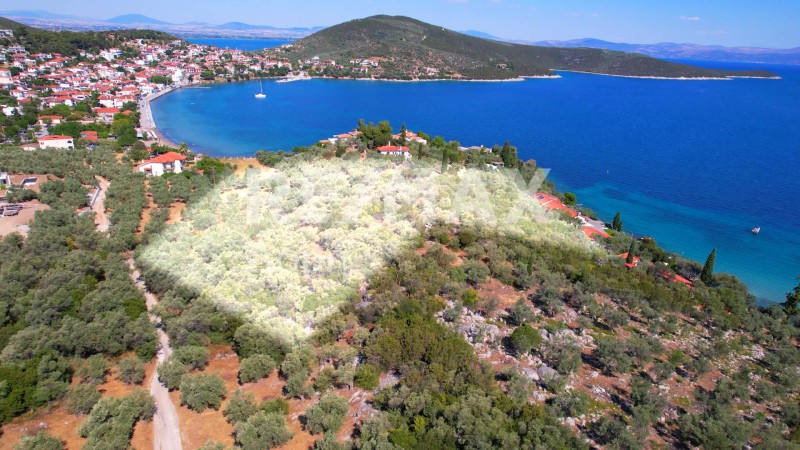 Οικόπεδο 10.008 τ.μ. πρός πώληση, Μαγνησία, Σούρπη