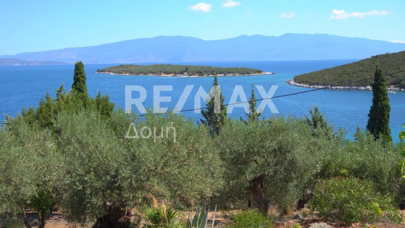 Οικόπεδο 10.008 τ.μ. πρός πώληση, Μαγνησία, Σούρπη