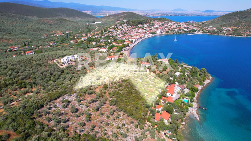 Οικόπεδο 10.008 τ.μ. πρός πώληση, Μαγνησία, Σούρπη