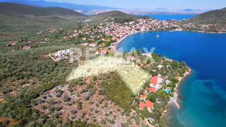 Οικόπεδο 10.008 τ.μ. πρός πώληση