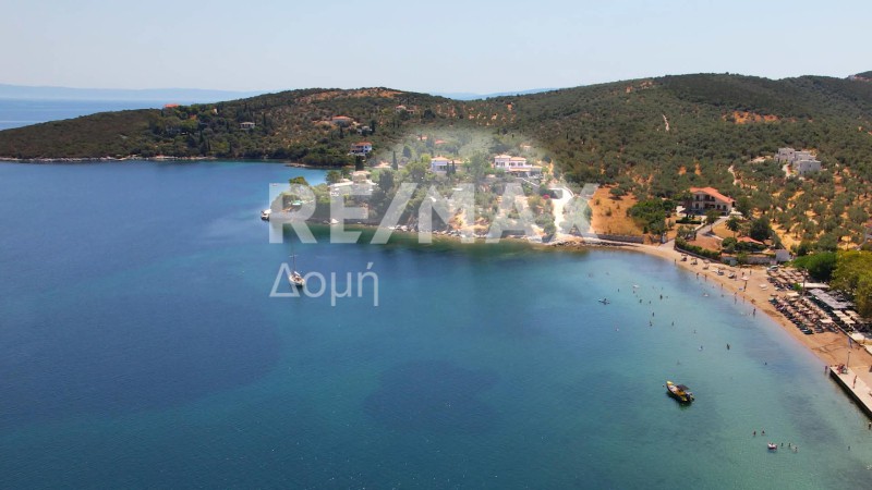Οικόπεδο 10.008 τ.μ. πρός πώληση, Μαγνησία, Σούρπη