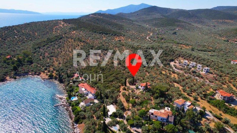 Οικόπεδο 10.008 τ.μ. πρός πώληση, Μαγνησία, Σούρπη