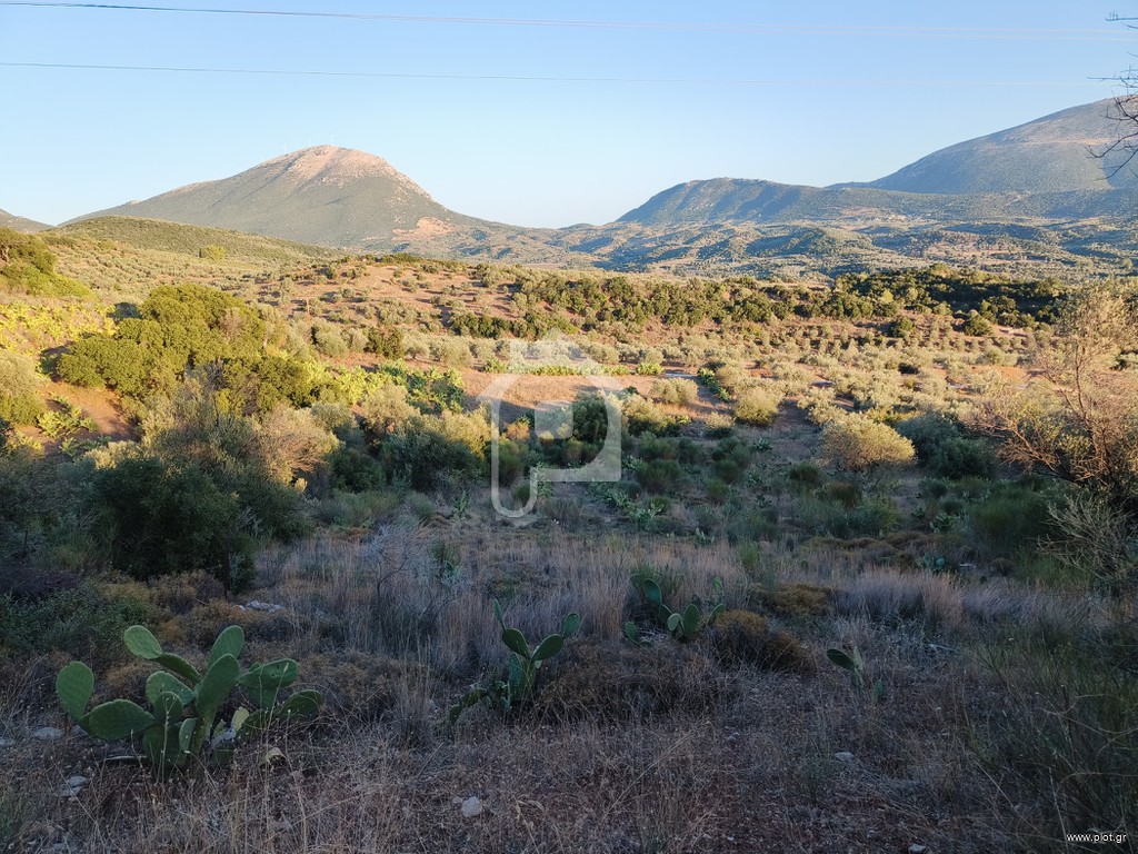 Αγροτεμάχια 20.000 τ.μ. πρός πώληση, Νησιά Αργοσαρωνικού, Τροιζήνα