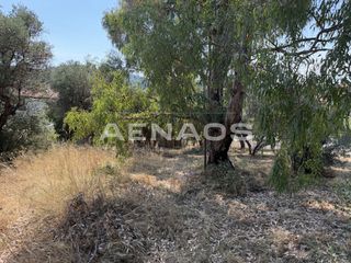 Οικόπεδο 425 τ.μ. για πώληση