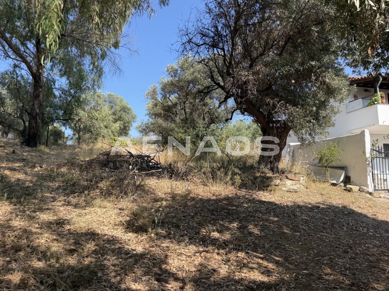 Οικόπεδο 425 τ.μ. πρός πώληση, Χαλκιδική, Σιθωνία