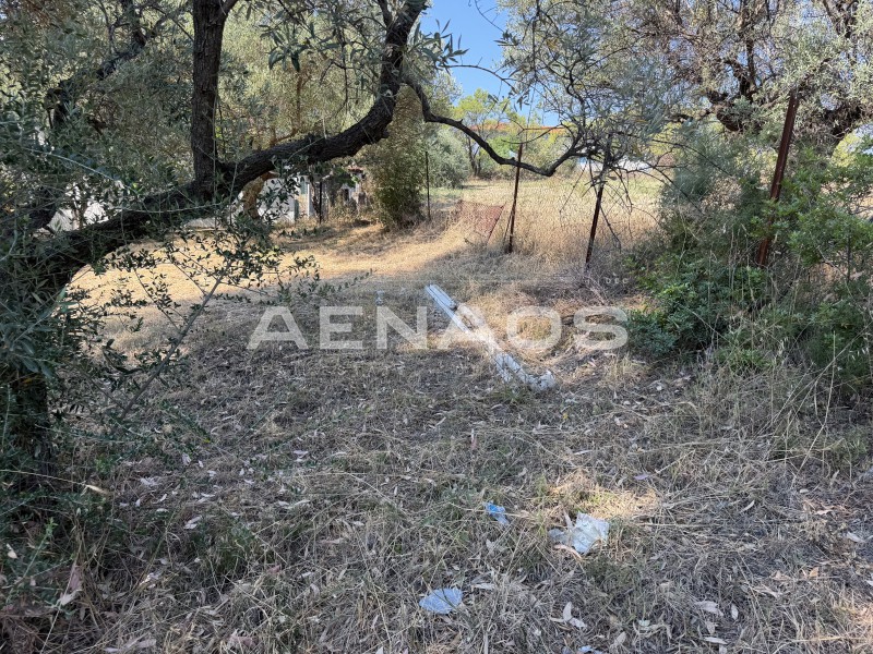 Οικόπεδο 425 τ.μ. πρός πώληση, Χαλκιδική, Σιθωνία