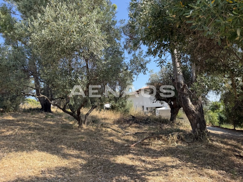 Οικόπεδο 425 τ.μ. πρός πώληση, Χαλκιδική, Σιθωνία