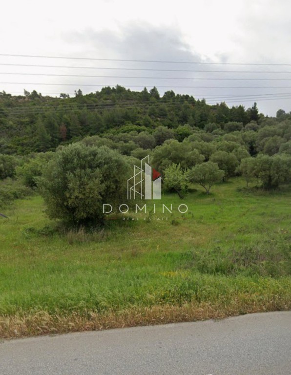 Αγροτεμάχια 6.000 τ.μ. πρός πώληση, Χαλκιδική, Σιθωνία