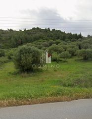 Αγροτεμάχια 6.000 τ.μ. για πώληση