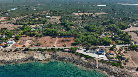 Αγροτεμάχια 8.085 τ.μ. πρός πώληση