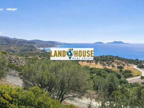 Αγροτεμάχια 4.500 τ.μ. πρός πώληση