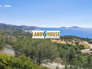 Αγροτεμάχια 4.500 τ.μ. για πώληση