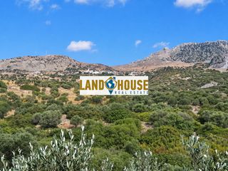 Αγροτεμάχια 4.500 τ.μ. προς πώληση, Κεραμές-thumb-5