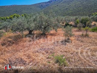 Αγροτεμάχια 5.464 τ.μ. προς πώληση, Ασκληπιείο-thumb-22