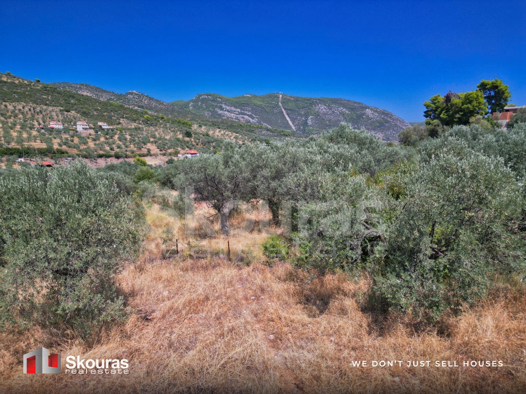 Αγροτεμάχια 5.464 τ.μ. προς πώληση, Ασκληπιείο