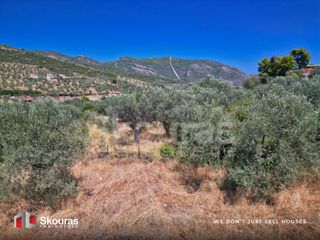 Αγροτεμάχια 5.464 τ.μ. προς πώληση, Ασκληπιείο-thumb-2