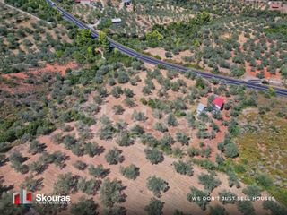 Αγροτεμάχια 5.464 τ.μ. προς πώληση, Ασκληπιείο-thumb-17
