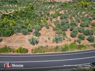 Αγροτεμάχια 5.464 τ.μ. προς πώληση, Ασκληπιείο-thumb-19