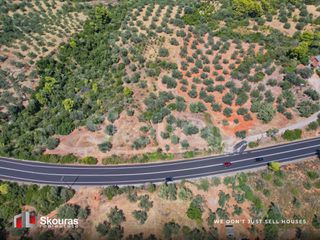 Αγροτεμάχια 5.464 τ.μ. προς πώληση, Ασκληπιείο-thumb-11