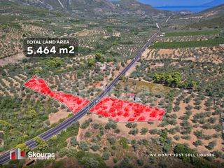 Αγροτεμάχια 5.464 τ.μ. για πώληση