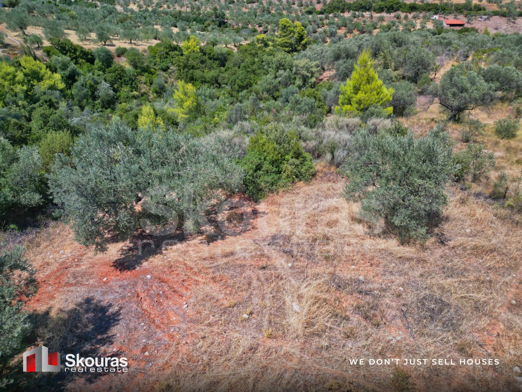 Αγροτεμάχια 5.464 τ.μ. προς πώληση, Ασκληπιείο