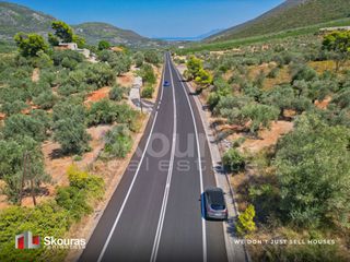 Αγροτεμάχια 5.464 τ.μ. προς πώληση, Ασκληπιείο-thumb-6