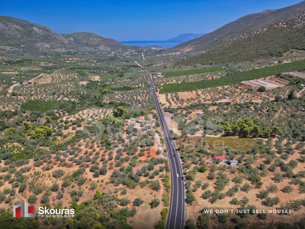 Αγροτεμάχια 5.464 τ.μ. προς πώληση, Ασκληπιείο