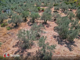 Αγροτεμάχια 5.464 τ.μ. προς πώληση, Ασκληπιείο-thumb-23