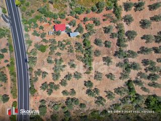 Αγροτεμάχια 5.464 τ.μ. προς πώληση, Ασκληπιείο-thumb-10