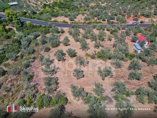 Αγροτεμάχια 5.464 τ.μ. προς πώληση, Ασκληπιείο-thumb-16