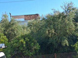 Διαμέρισμα 52 τ.μ. για πώληση, Μεσσηνία, Καλαμάτα-thumb-8