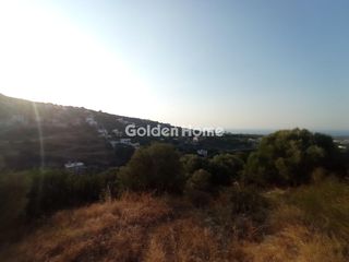 Οικόπεδο 2.650 τ.μ. προς πώληση, Αγία Τριάδα Αρκαδίου-thumb-5