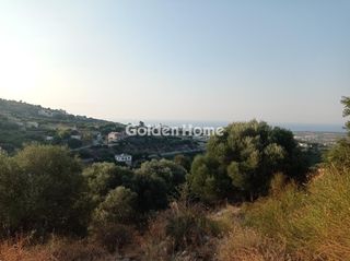 Οικόπεδο 2.650 τ.μ. προς πώληση, Αγία Τριάδα Αρκαδίου-thumb-1