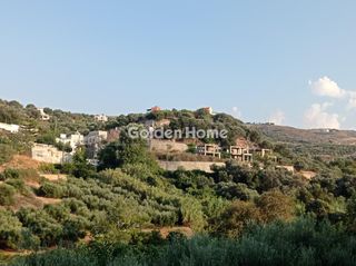 Οικόπεδο 2.650 τ.μ. προς πώληση, Αγία Τριάδα Αρκαδίου-thumb-7