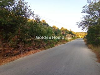 Οικόπεδο 2.650 τ.μ. προς πώληση, Αγία Τριάδα Αρκαδίου-thumb-11