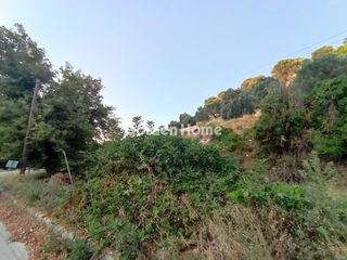 Οικόπεδο 2.650 τ.μ. προς πώληση, Αγία Τριάδα Αρκαδίου-thumb-14