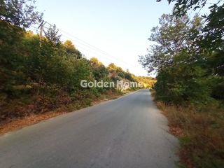 Οικόπεδο 2.650 τ.μ. προς πώληση, Αγία Τριάδα Αρκαδίου-thumb-13