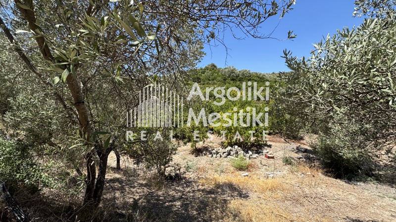 Αγροτεμάχια 15.000 τ.μ. πρός πώληση, Αργολίδα, Ασίνη