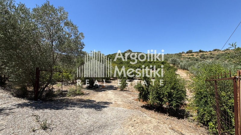 Αγροτεμάχια 15.000 τ.μ. πρός πώληση, Αργολίδα, Ασίνη